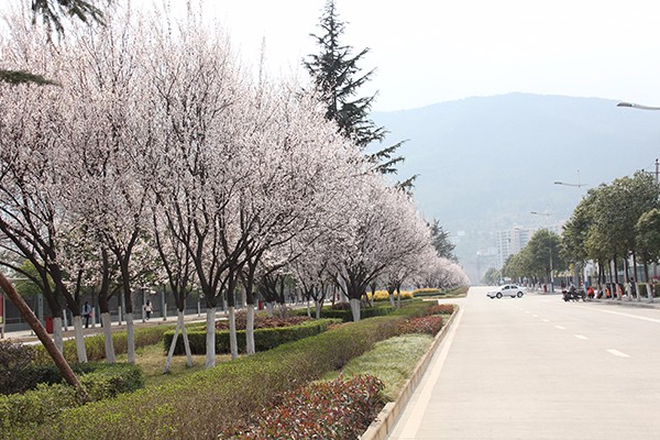 成都市成醫(yī)一附院護(hù)士學(xué)校如何、怎么樣