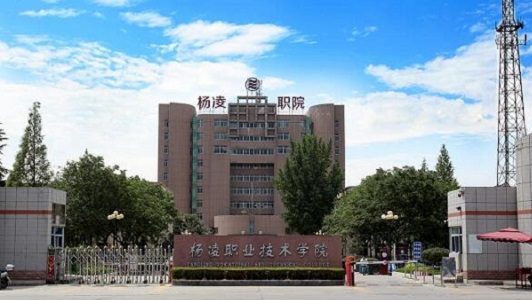 四川2020年消防安裝工程職業(yè)技術學校設立有什么課程內(nèi)容