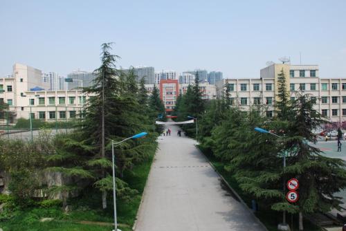 2021年四川讀電子商務(wù)學(xué)校需要什么？圖1