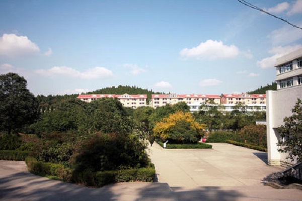 四川招生航空服務(wù)學(xué)校招生(航空學(xué)校招生條件)