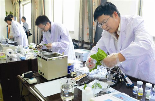 考研問題免費咨詢人工服務（考研相關問題咨詢）