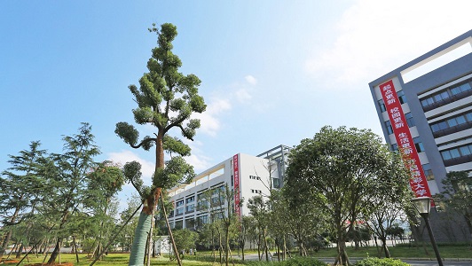四川2021年衛(wèi)校學啥好圖3