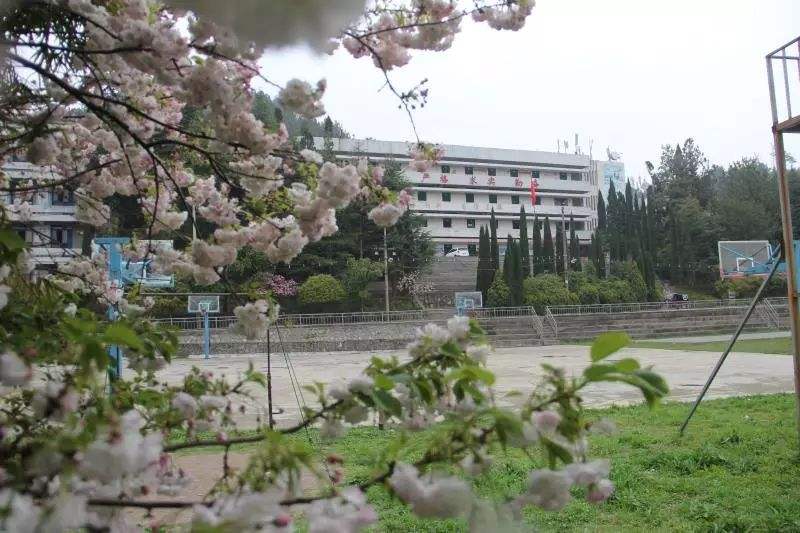 考研哪個機構(gòu)最好