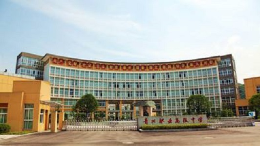 2021年以護(hù)理學(xué)校為王牌專業(yè)的四川大學(xué)有哪些？