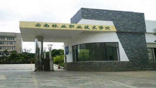 四川省彝文學(xué)校怎么樣、怎么樣