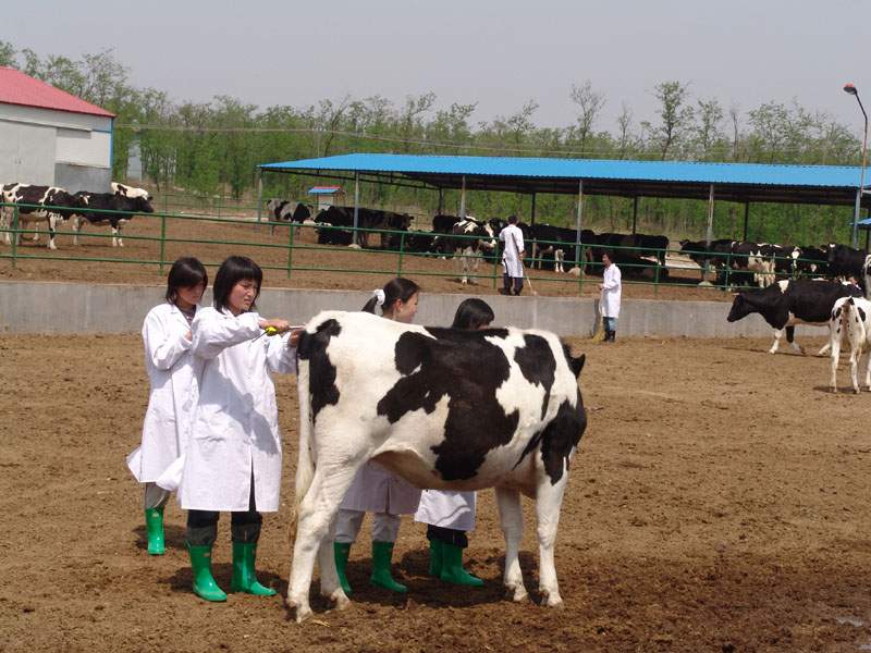2022年成都青華職業(yè)學(xué)校有哪些專業(yè)？