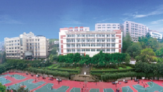 學(xué)歷提升成人教育(成人教育種類)