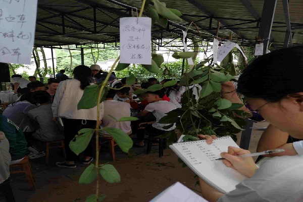 長沙職高學費多少一年（長沙職高多少錢一學期）