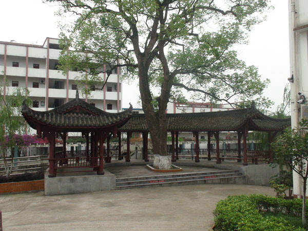 2021年四川護(hù)理學(xué)校讀什么專業(yè)？