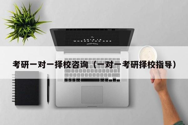 考研一對一擇校咨詢（一對一考研擇校指導）