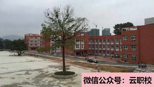 在重慶300分能上衛(wèi)校嗎