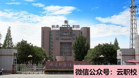成都東星航空旅游專修學(xué)院招生簡(jiǎn)章
