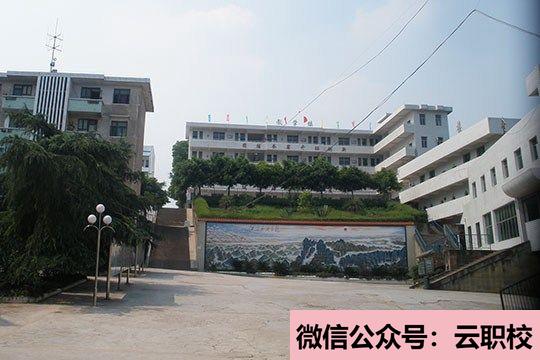 瀘縣四中招生計(jì)劃 招生范圍(瀘縣四中2021年招生簡(jiǎn)章)