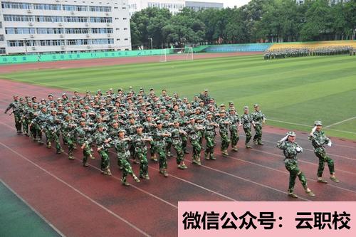 重慶沙坪壩區(qū)學(xué)校報名條件(重慶沙坪壩區(qū)2021年200分能上衛(wèi)校嗎)圖1