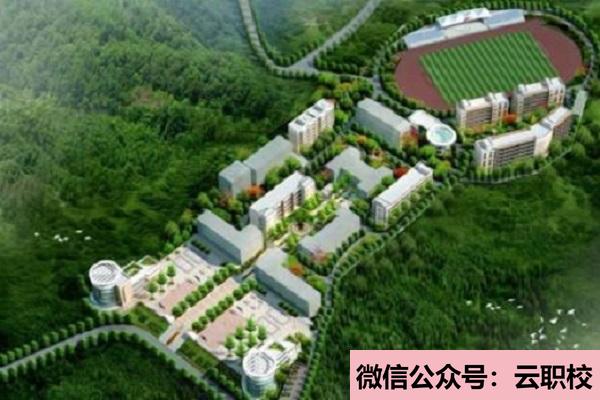 2021年德陽衛(wèi)校的專業(yè)報讀,是學什么的?圖2