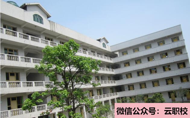 重慶中?？梢陨髮?(重慶2021年衛(wèi)校中專升全日制大專)圖1