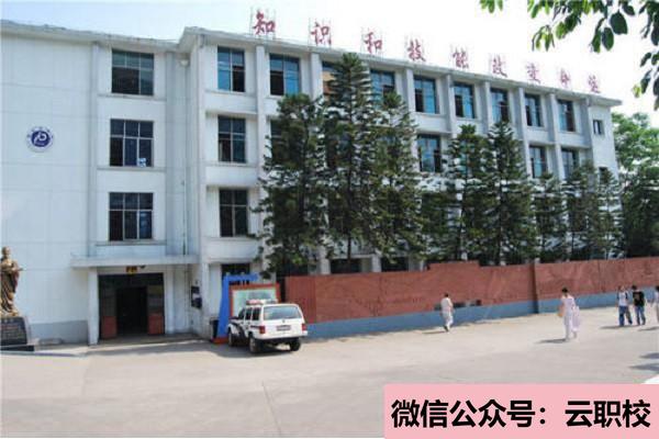 學前教育改革和發(fā)展需要,德、智、體、美全面發(fā)展(學前教育)圖1