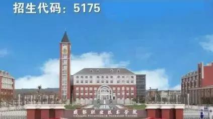 包含成都有哪些大學(xué)?？茖W(xué)校的詞條
