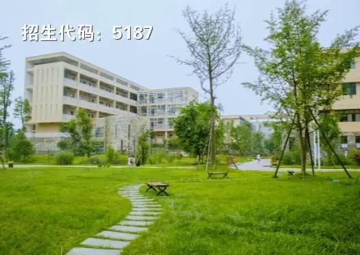 包含成都有哪些大學(xué)?？茖W(xué)校的詞條