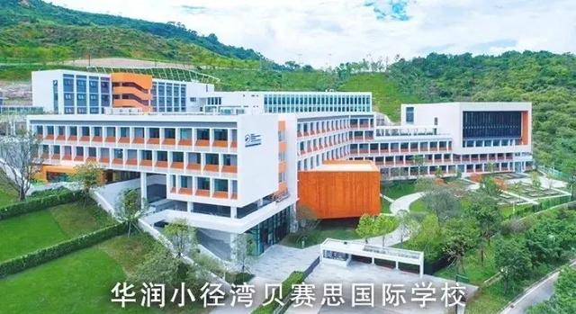 廣州貝賽思國際學(xué)校的簡單介紹圖3