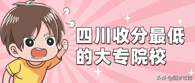 包含四川二專(zhuān)的公辦學(xué)校的詞條
