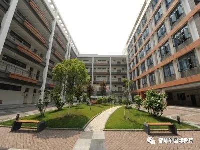 成都協(xié)同國際學校學費(成都華德福國際學校學費)