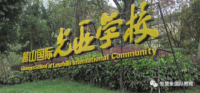 成都協(xié)同國際學校學費(成都華德福國際學校學費)