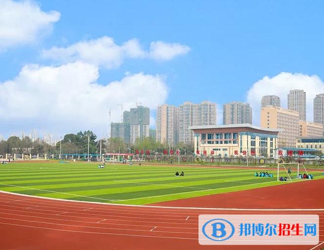 成都有幼師專業(yè)的學校(成都公辦幼師學校排名表)