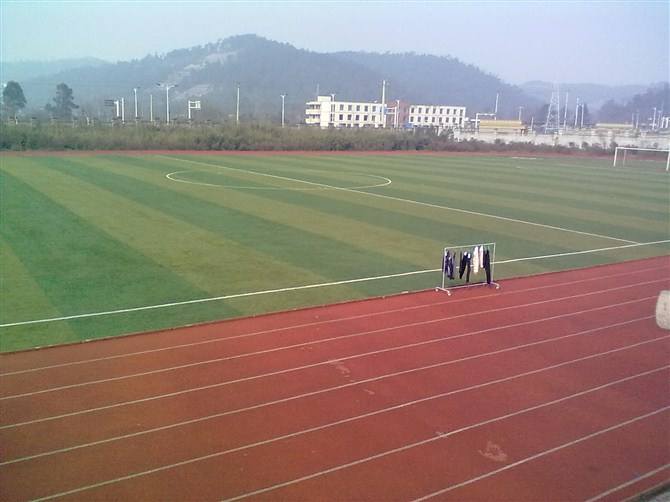 成都有幼師專業(yè)的學校(成都公辦幼師學校排名表)