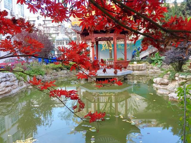 新都一中實驗學(xué)校(新都一中實驗學(xué)校老師名單)