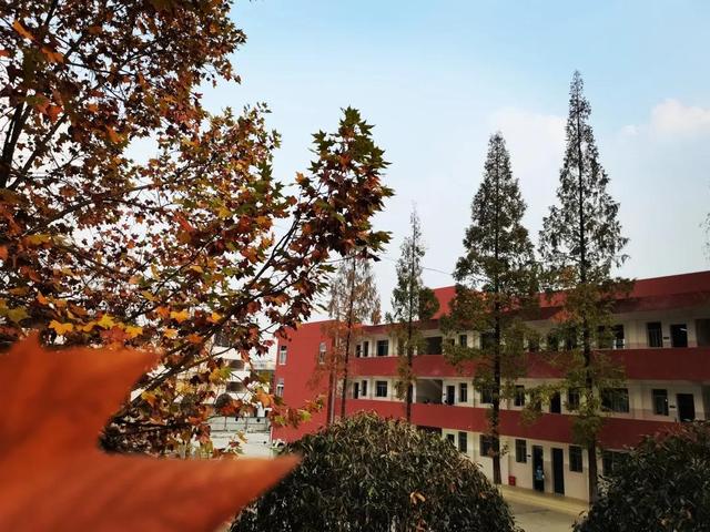 新都一中實驗學(xué)校(新都一中實驗學(xué)校老師名單)