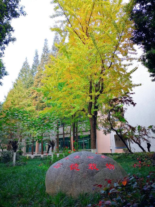 新都一中實驗學(xué)校(新都一中實驗學(xué)校老師名單)