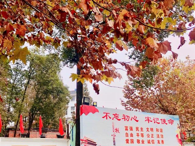新都一中實驗學(xué)校(新都一中實驗學(xué)校老師名單)