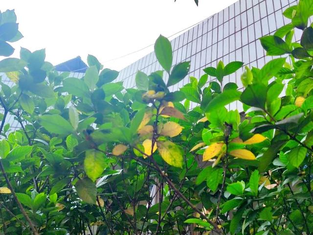 新都一中實驗學(xué)校(新都一中實驗學(xué)校老師名單)