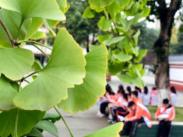 新都一中實驗學(xué)校(新都一中實驗學(xué)校老師名單)