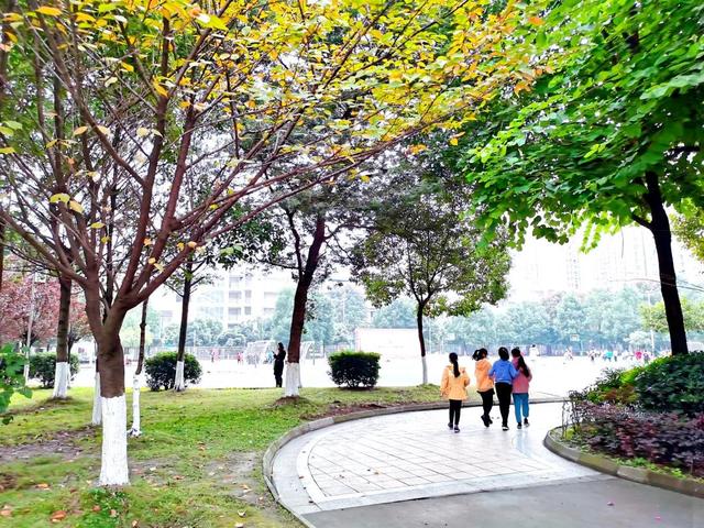 新都一中實驗學(xué)校(新都一中實驗學(xué)校老師名單)