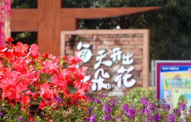 新都一中實驗學(xué)校(新都一中實驗學(xué)校老師名單)