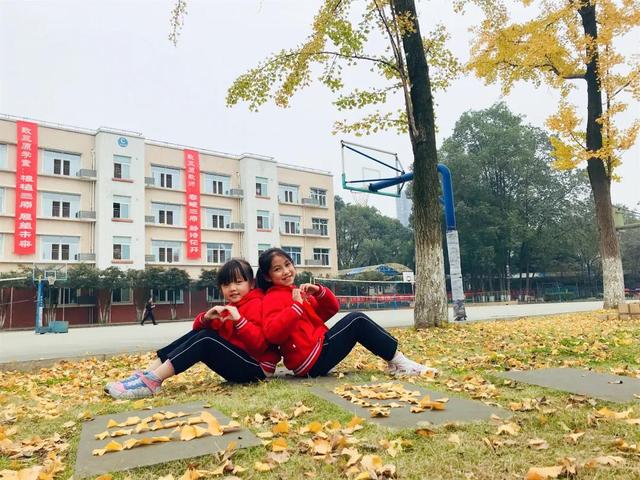 新都一中實驗學(xué)校(新都一中實驗學(xué)校老師名單)