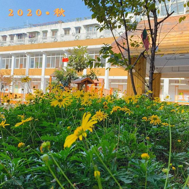 新都一中實驗學(xué)校(新都一中實驗學(xué)校老師名單)