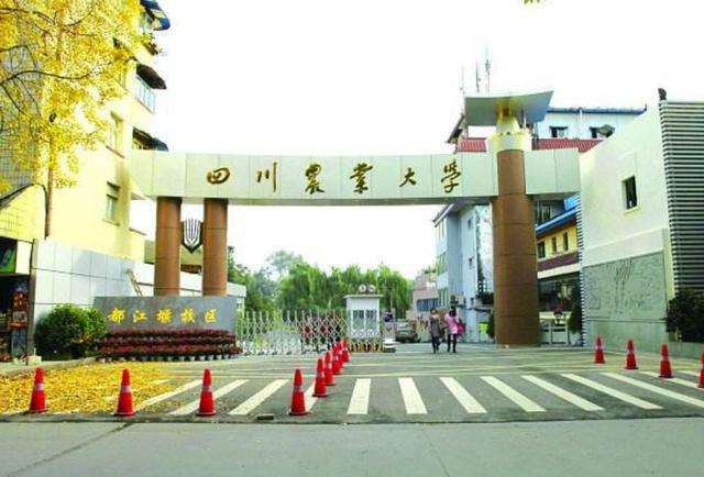 成都考研學校排名(成都考研機構(gòu)排名推薦)