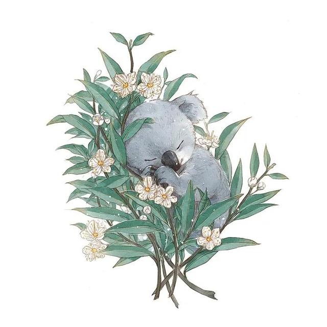 想學(xué)設(shè)計(jì)怎么入門(mén)在家自己學(xué)(想學(xué)設(shè)計(jì)服裝怎么入門(mén))