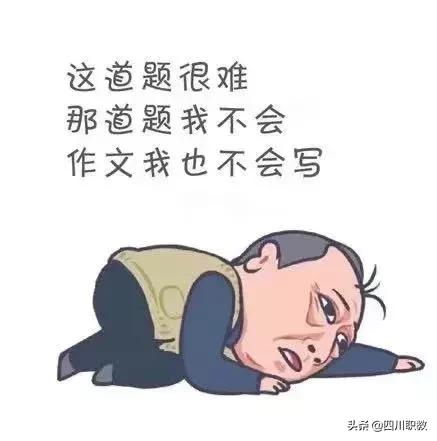 四川化工職業(yè)技術學院升本(四川化工職業(yè)技術學院升本嗎)