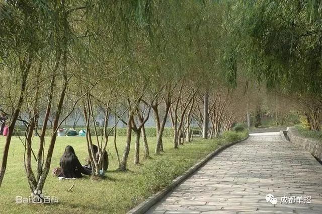 四川幼兒高等師范?？茖W(xué)校在哪里(四川幼兒高等師范?？茖W(xué)校地址)