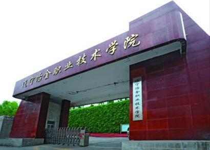 全國職業(yè)學院排名前十(貴州職業(yè)學院排名前十)
