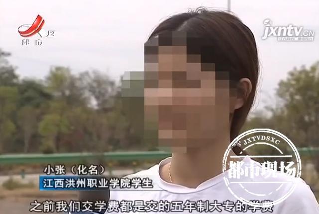 洪州職業(yè)學校(洪州職業(yè)學校多大)