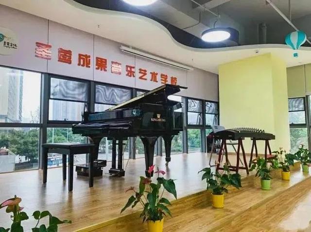成都前十音樂(lè)集訓(xùn)學(xué)校(成都音樂(lè)集訓(xùn)費(fèi)用)