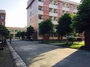 德陽衛(wèi)校地址(德陽衛(wèi)校錄取分數線)