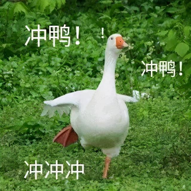 成都市職業(yè)高級(jí)中學(xué)(成都市職業(yè)高級(jí)中學(xué)校)圖2