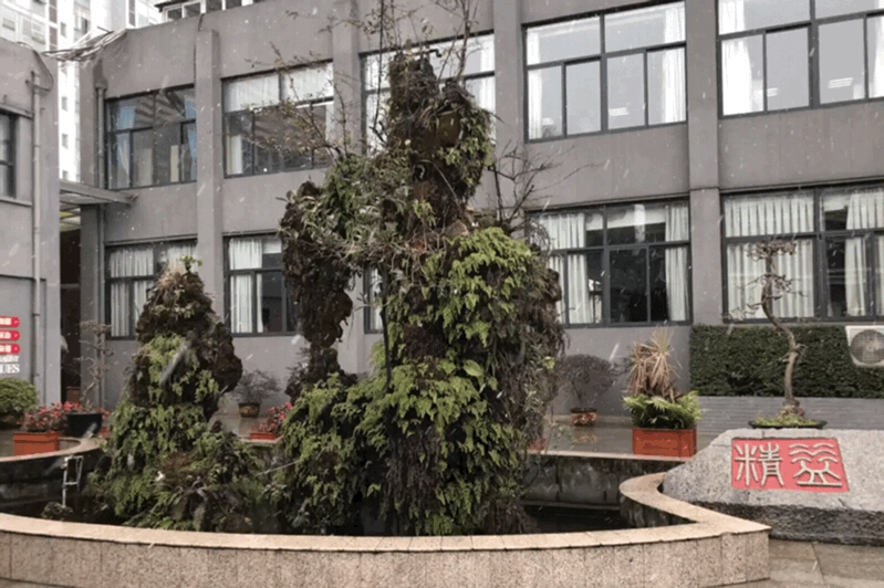 成都市職業(yè)高級中學(成都市職業(yè)高級中學校)