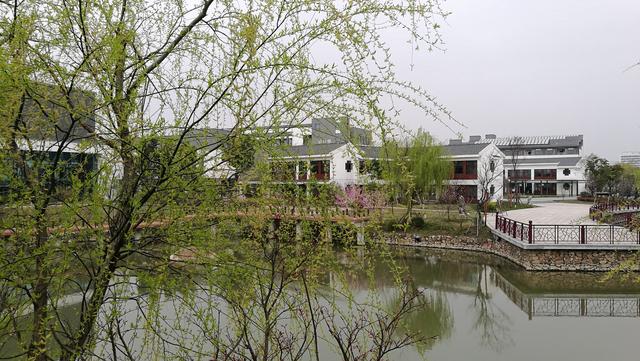 四川幼兒師范高等?？茖W(xué)校(四川幼兒師范高等?？茖W(xué)校分?jǐn)?shù)線)